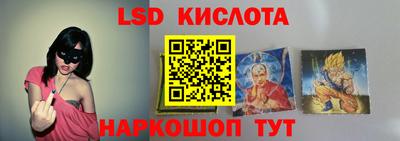 прущие грибы Новокубанск