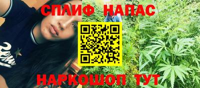 амф Новозыбков