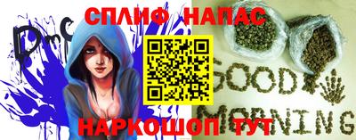 прущие грибы Новокубанск