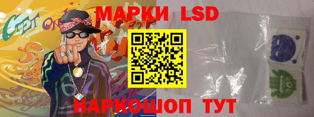 Псилоцибиновые грибы Сегежа