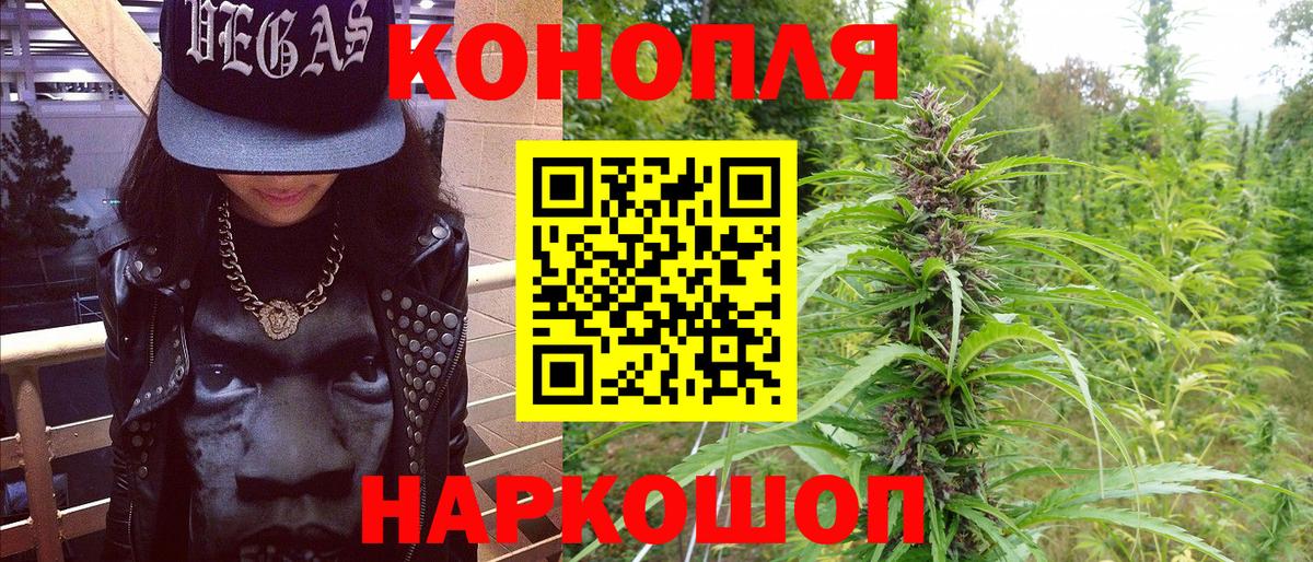 Конопля гибрид Сегежа